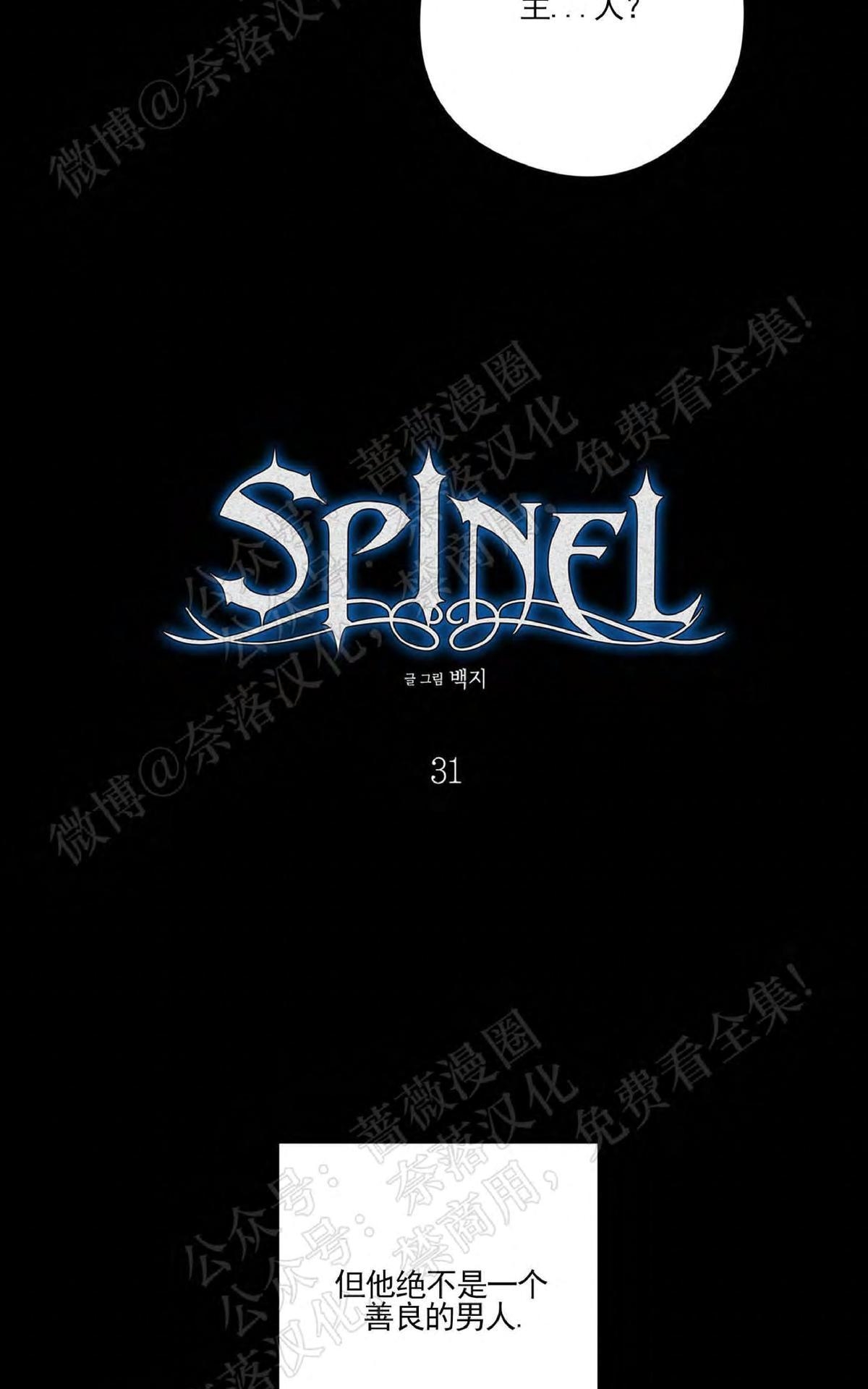 【Spinel/晶石公爵[腐漫]】漫画-（ 第31话 ）章节漫画下拉式图片-12.jpg