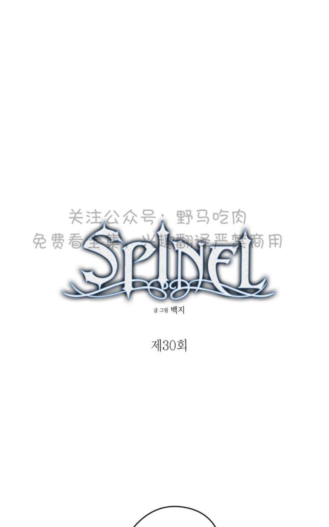 【Spinel/晶石公爵[腐漫]】漫画-（ 第30话完结 ）章节漫画下拉式图片-21.jpg