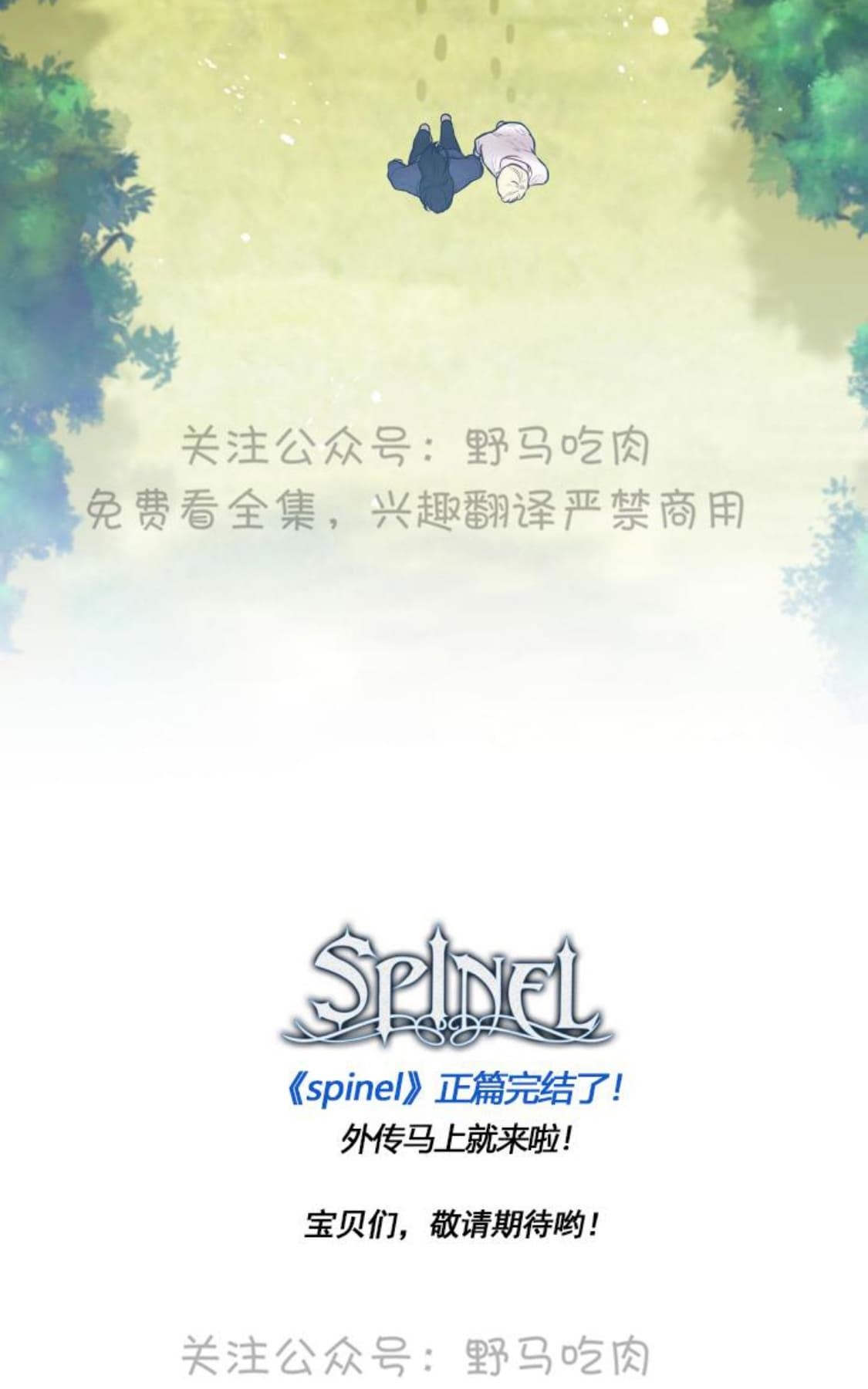 【Spinel/晶石公爵[腐漫]】漫画-（ 第30话完结 ）章节漫画下拉式图片-33.jpg