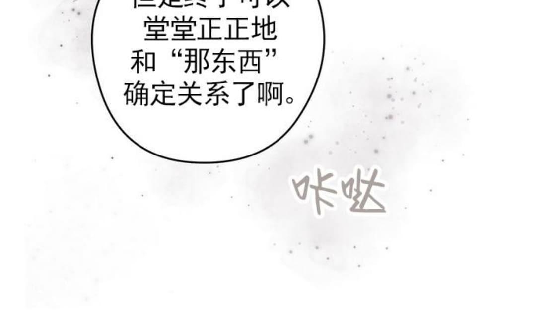 【Spinel/晶石公爵[腐漫]】漫画-（ 第28话 ）章节漫画下拉式图片-15.jpg