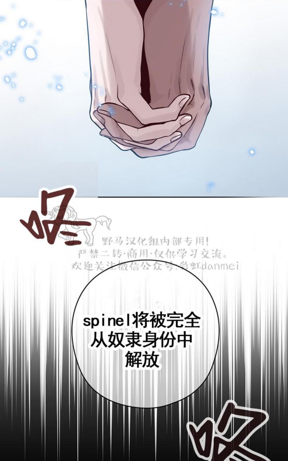 【Spinel/晶石公爵[腐漫]】漫画-（ 第26话 ）章节漫画下拉式图片-43.jpg