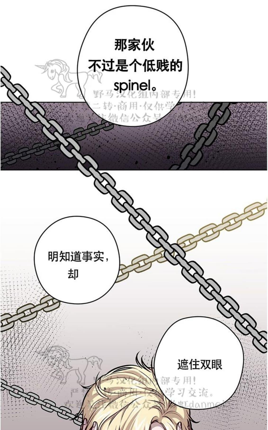 【Spinel/晶石公爵[腐漫]】漫画-（ 第20话 ）章节漫画下拉式图片-26.jpg