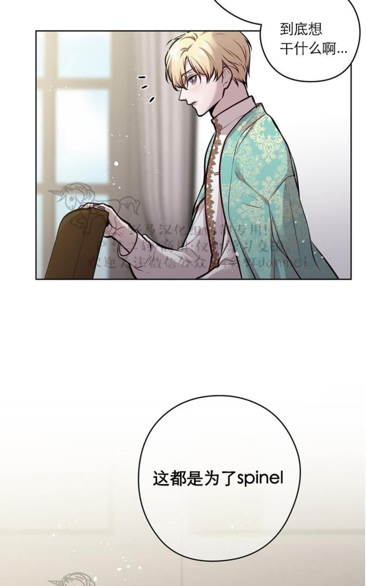 【Spinel/晶石公爵[腐漫]】漫画-（ 第16话 ）章节漫画下拉式图片-22.jpg