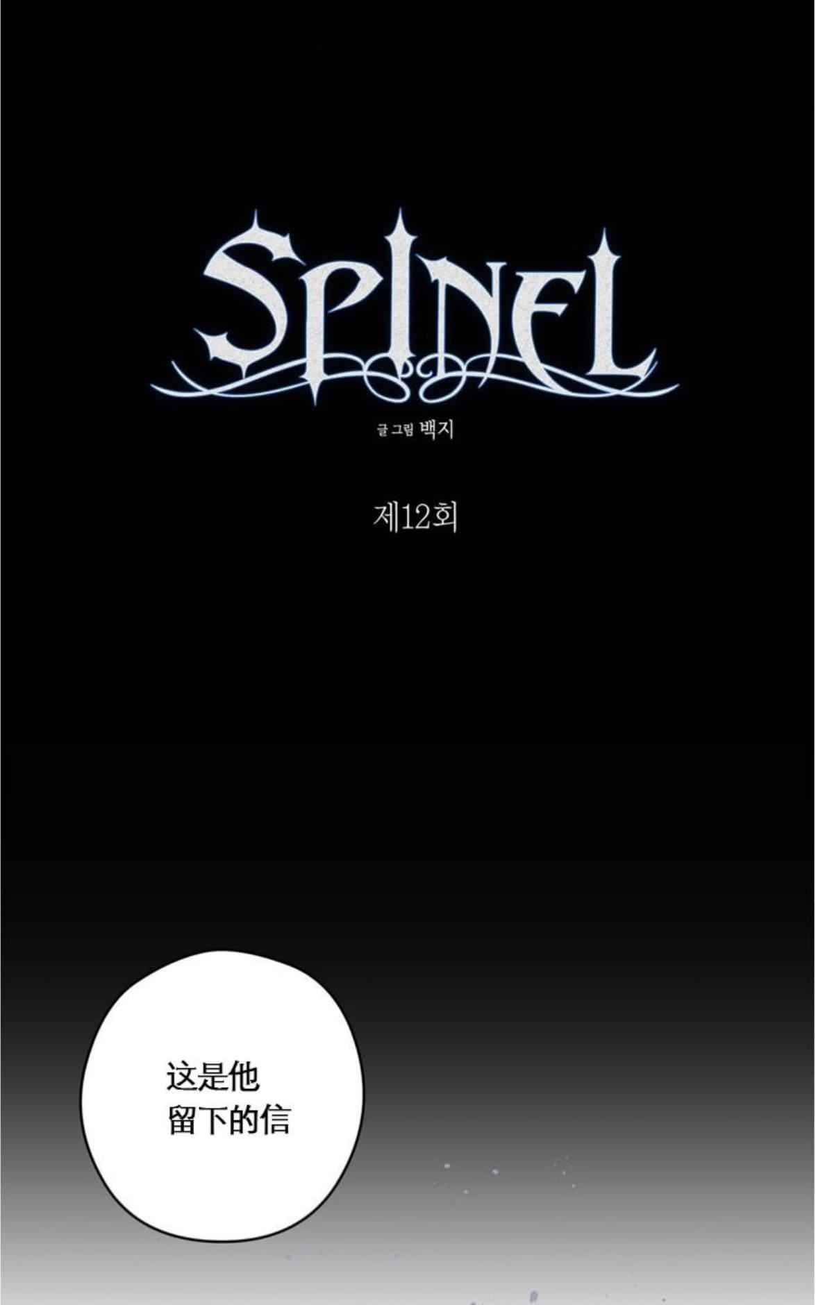 【Spinel/晶石公爵[腐漫]】漫画-（ 第12话 ）章节漫画下拉式图片-12.jpg