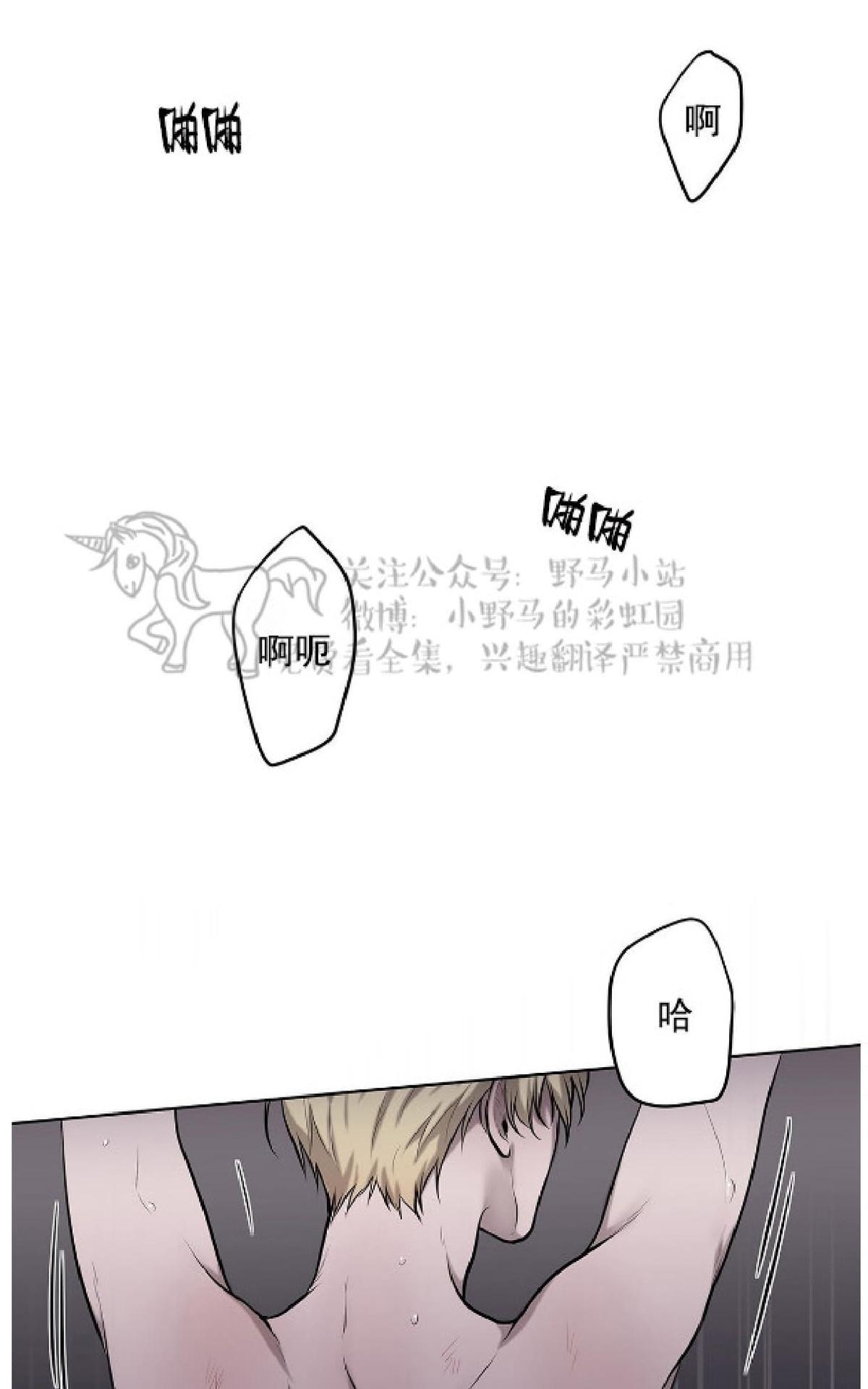 【Spinel/晶石公爵[腐漫]】漫画-（ 第9话 ）章节漫画下拉式图片-9.jpg