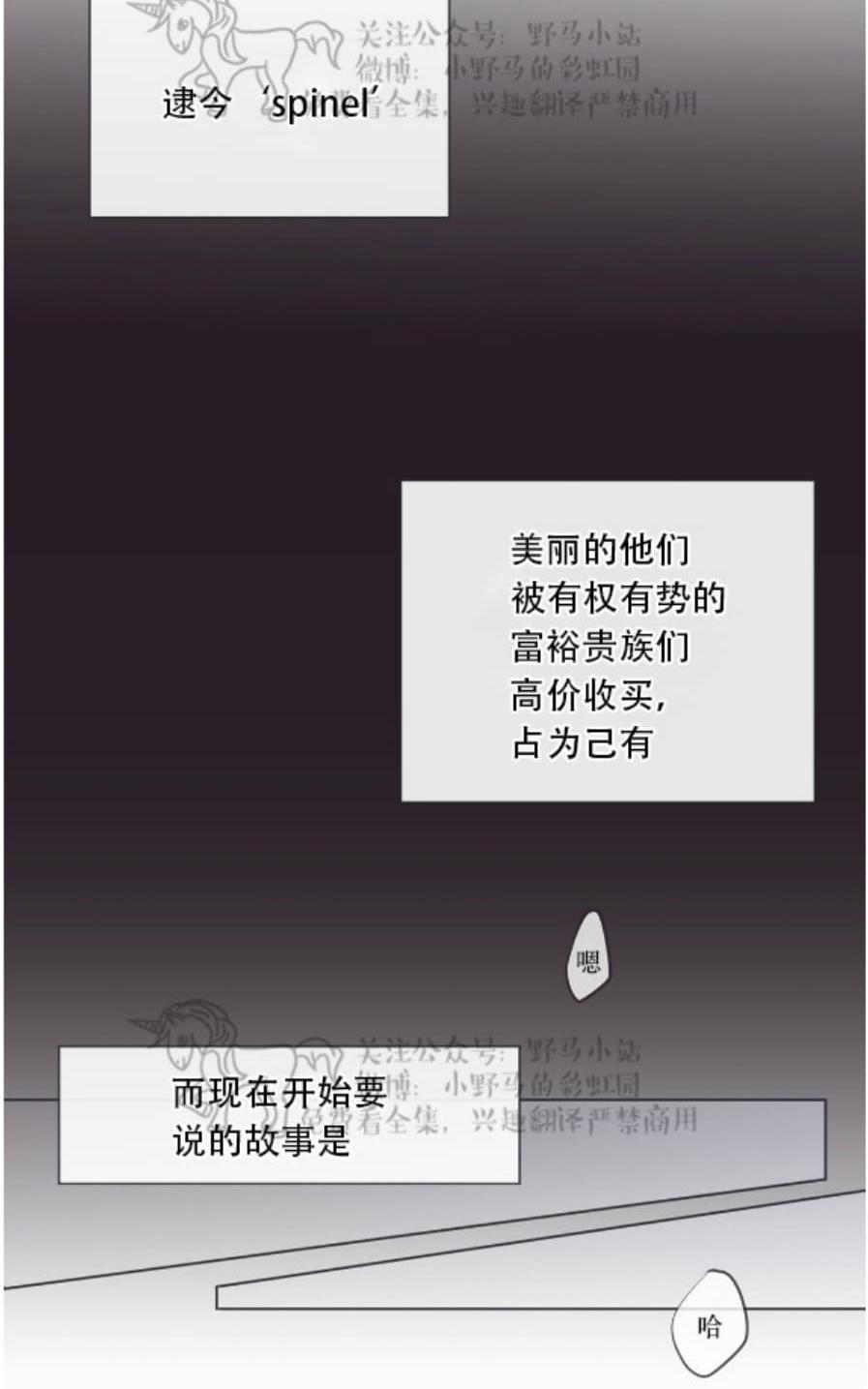 【Spinel/晶石公爵[腐漫]】漫画-（ 第0话 ）章节漫画下拉式图片-6.jpg