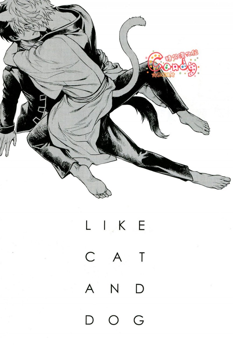 【LIKE CAT AND DOG (银魂)[腐漫]】漫画-（全1话）章节漫画下拉式图片-3.jpg