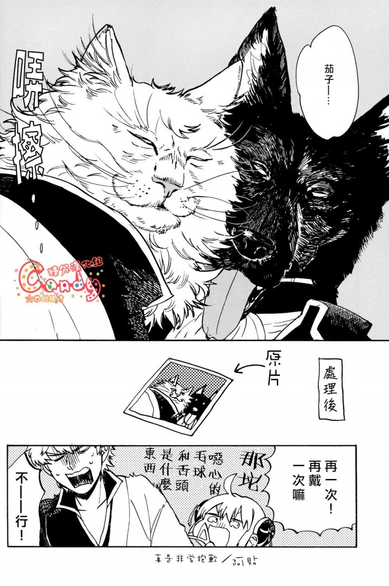 【LIKE CAT AND DOG (银魂)[腐漫]】漫画-（全1话）章节漫画下拉式图片-31.jpg