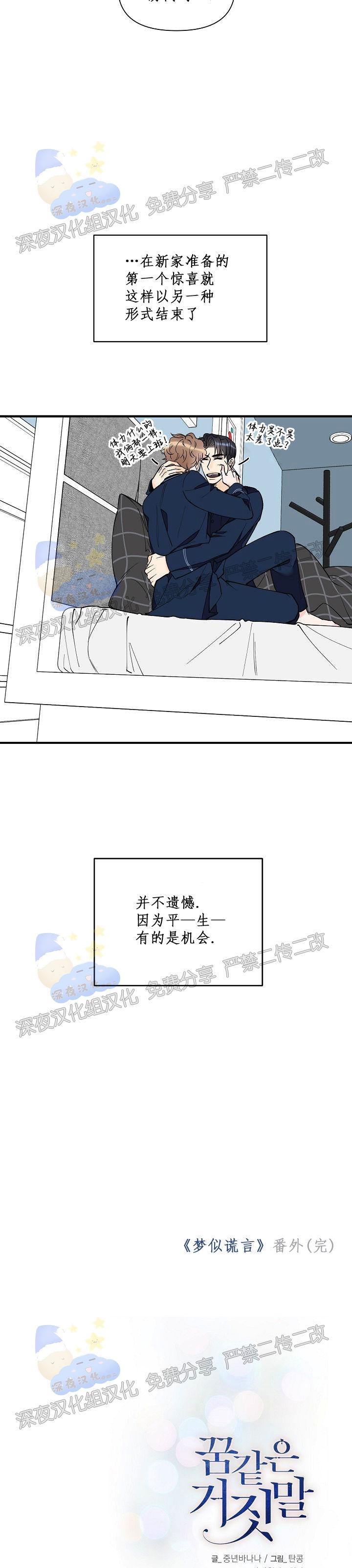 《梦似谎言/谎言如梦/梦一样的谎言》漫画最新章节番外免费下拉式在线观看章节第【29】张图片