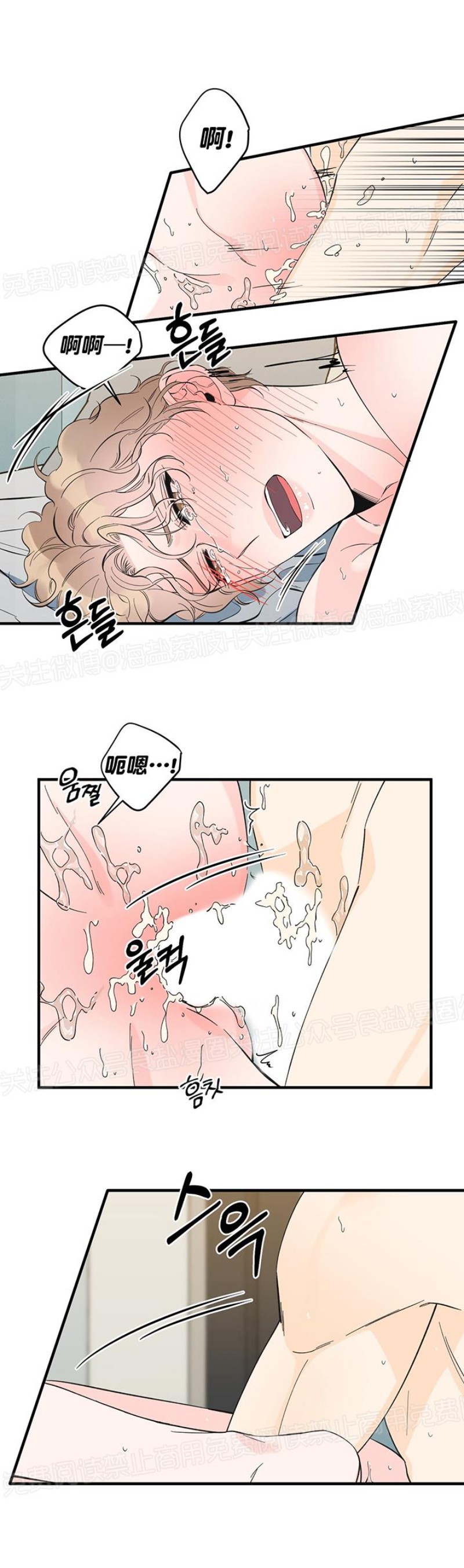 《梦似谎言/谎言如梦/梦一样的谎言》漫画最新章节第24话免费下拉式在线观看章节第【13】张图片