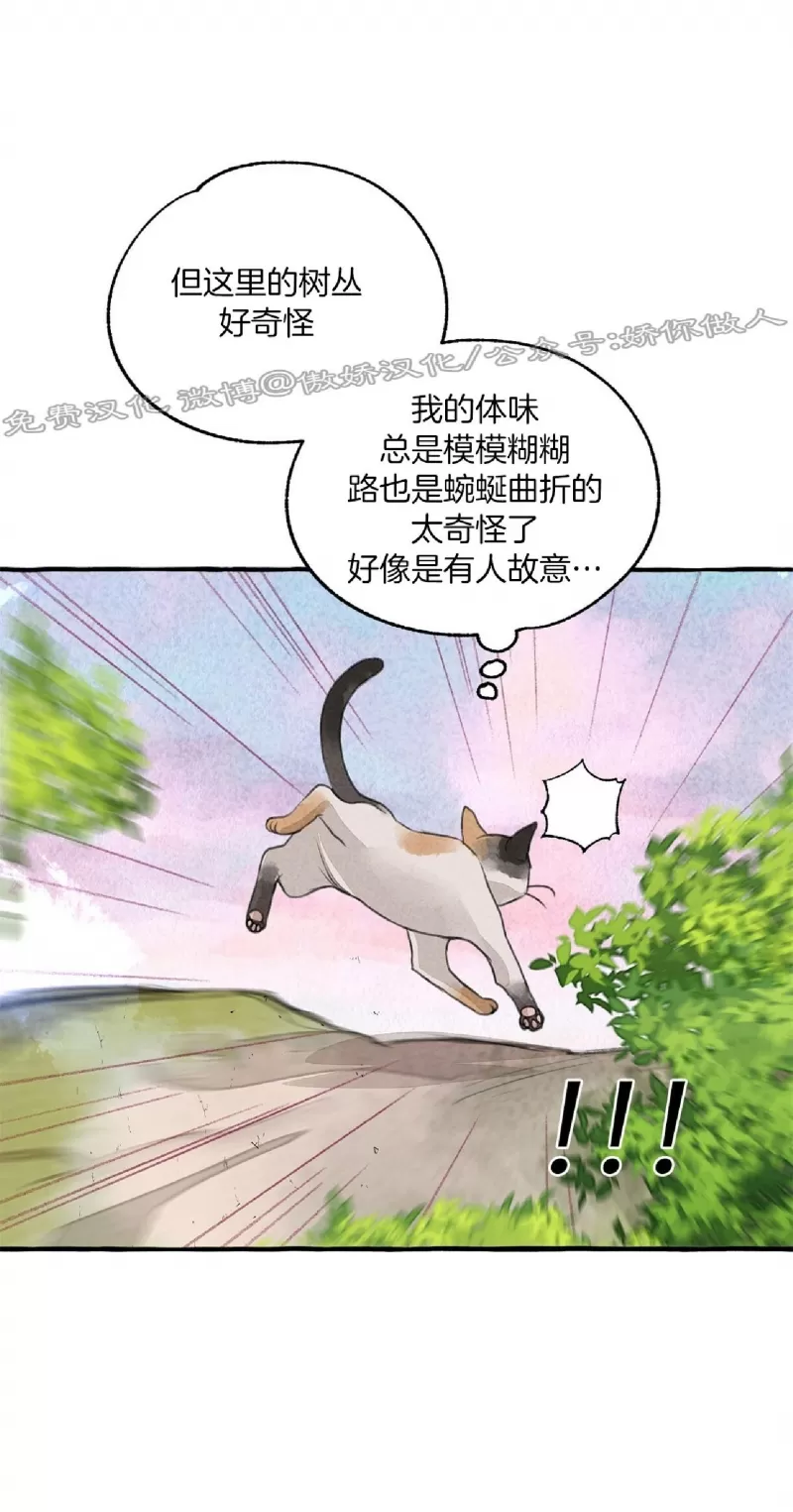 《负卿请醉》漫画最新章节第62话免费下拉式在线观看章节第【30】张图片