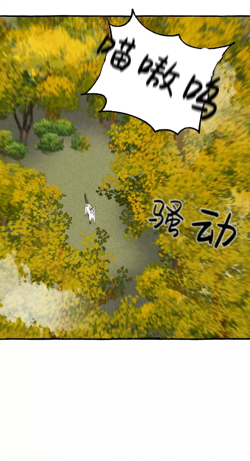 《负卿请醉》漫画最新章节第63话免费下拉式在线观看章节第【10】张图片