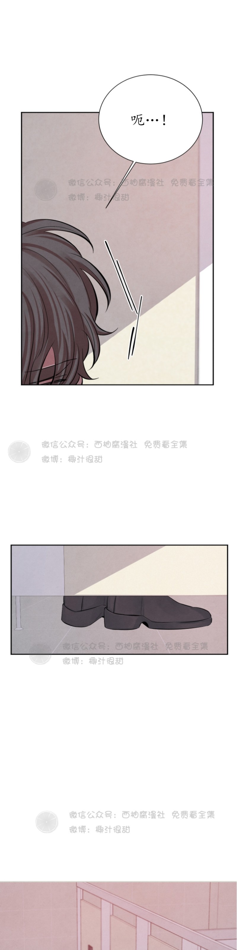 《珊瑚舒展的秘密》漫画最新章节第11话免费下拉式在线观看章节第【1】张图片