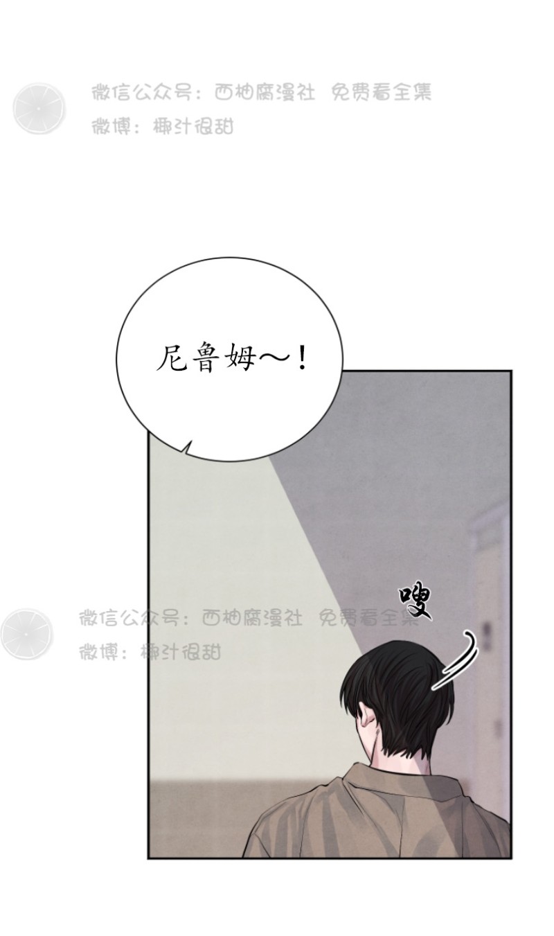 《珊瑚舒展的秘密》漫画最新章节第11话免费下拉式在线观看章节第【4】张图片