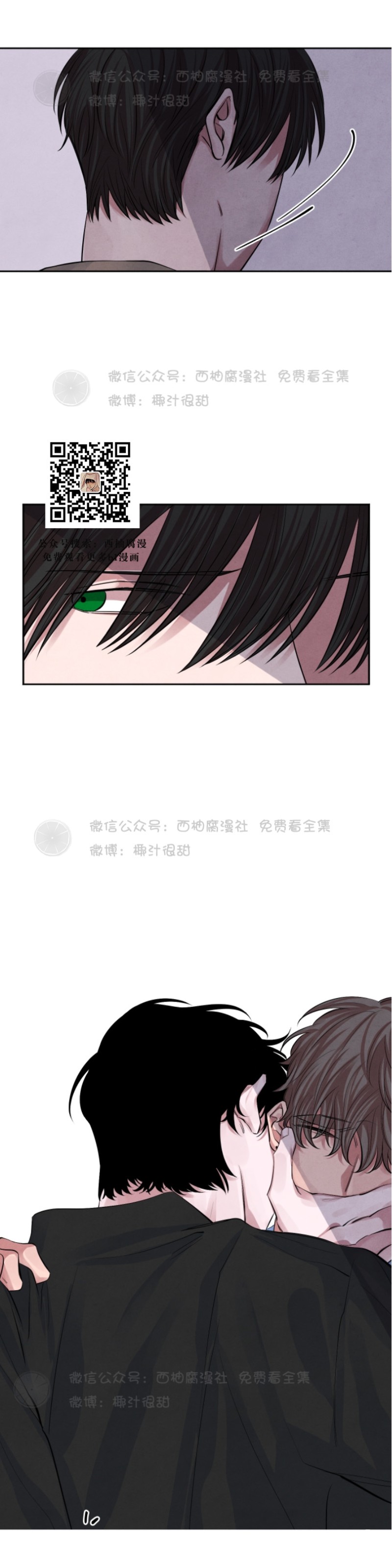 《珊瑚舒展的秘密》漫画最新章节第11话免费下拉式在线观看章节第【3】张图片