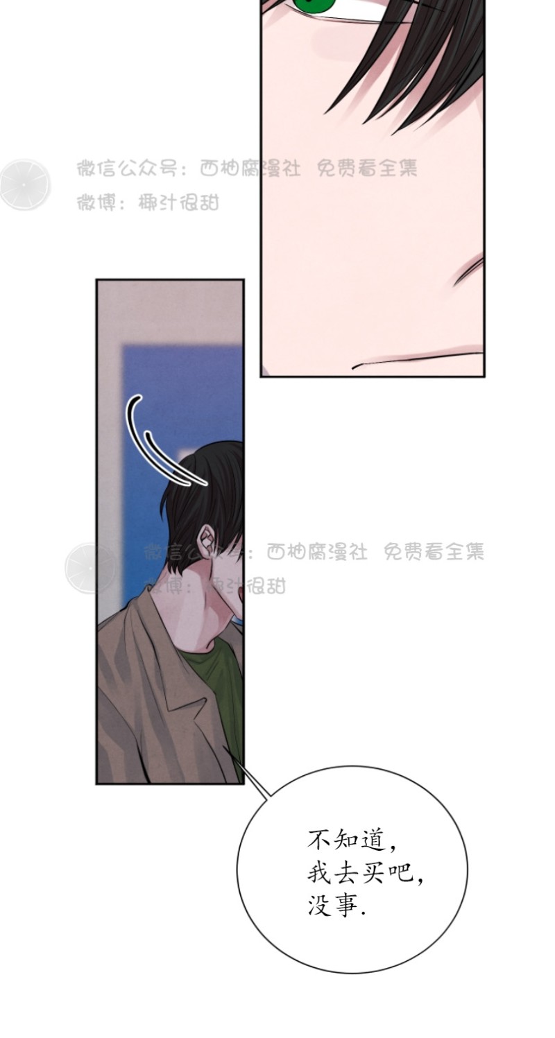 《珊瑚舒展的秘密》漫画最新章节第11话免费下拉式在线观看章节第【6】张图片