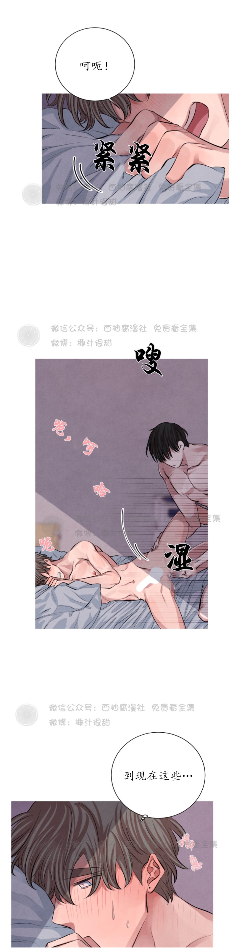 《珊瑚舒展的秘密》漫画最新章节第11话免费下拉式在线观看章节第【20】张图片