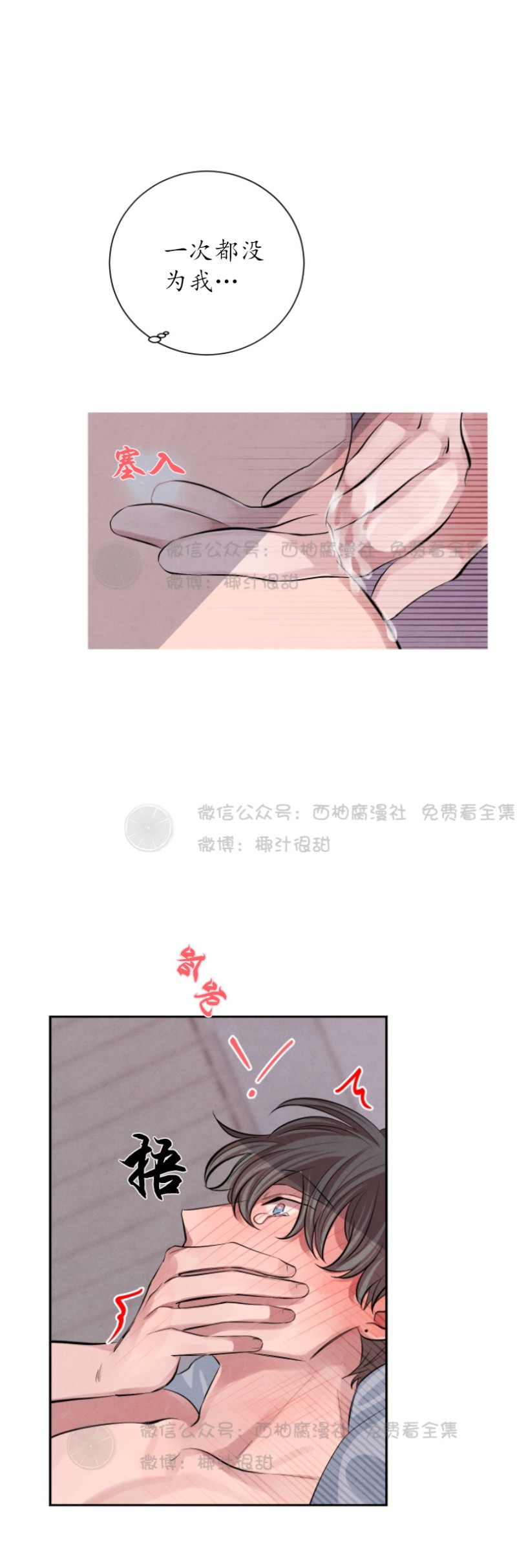 《珊瑚舒展的秘密》漫画最新章节第11话免费下拉式在线观看章节第【21】张图片