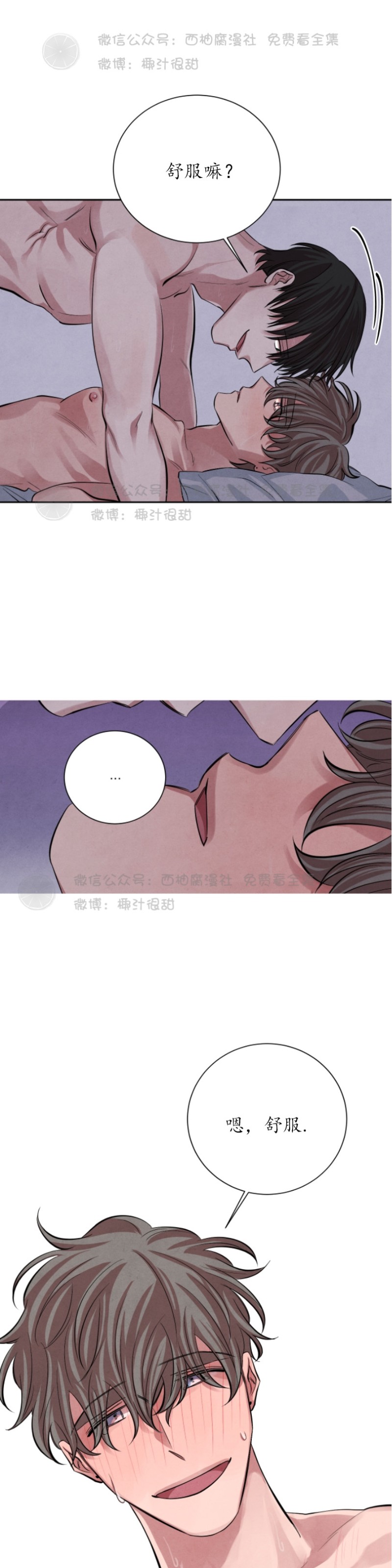 《珊瑚舒展的秘密》漫画最新章节第11话免费下拉式在线观看章节第【26】张图片