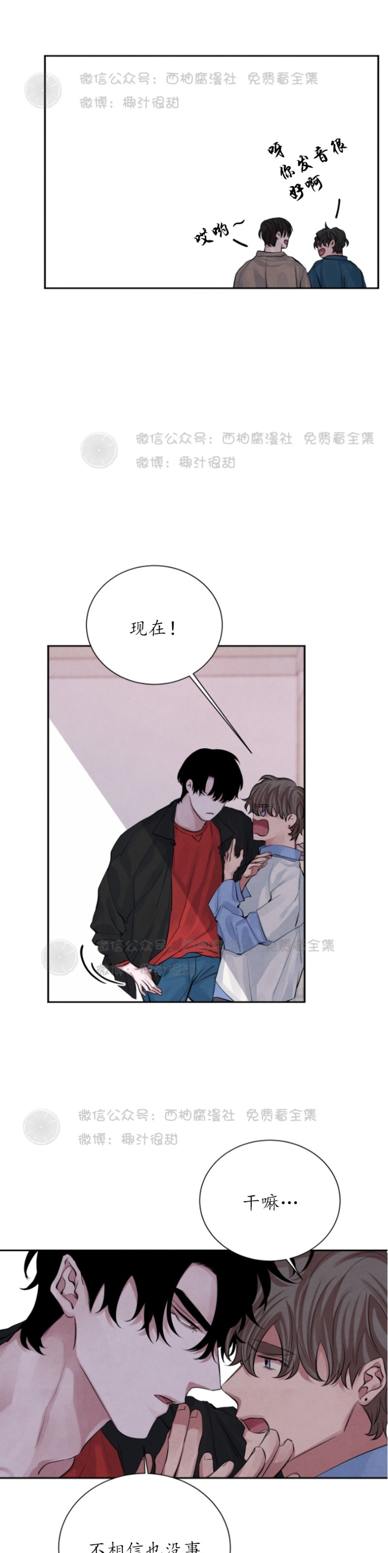 《珊瑚舒展的秘密》漫画最新章节第11话免费下拉式在线观看章节第【7】张图片