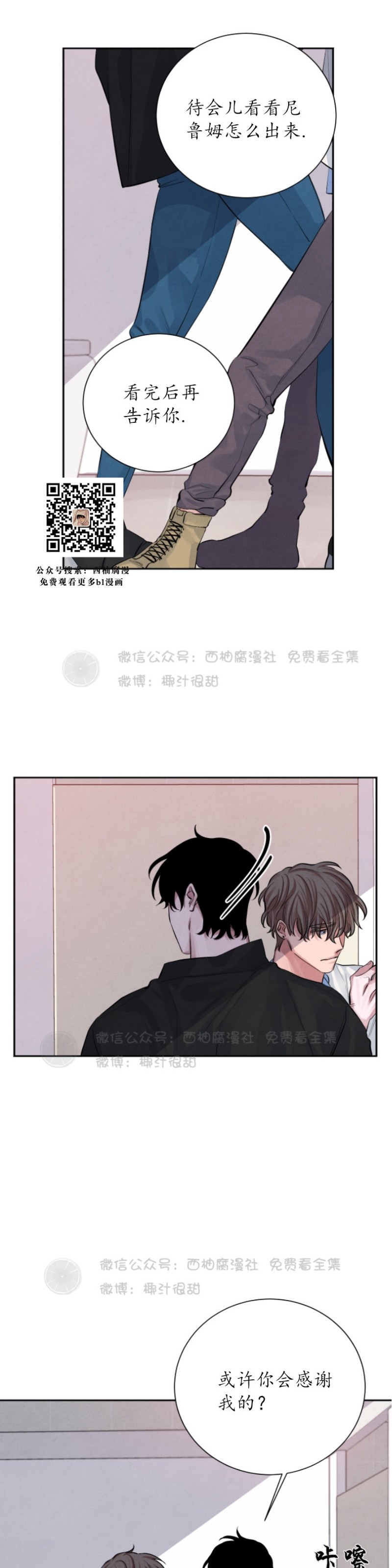 《珊瑚舒展的秘密》漫画最新章节第11话免费下拉式在线观看章节第【9】张图片