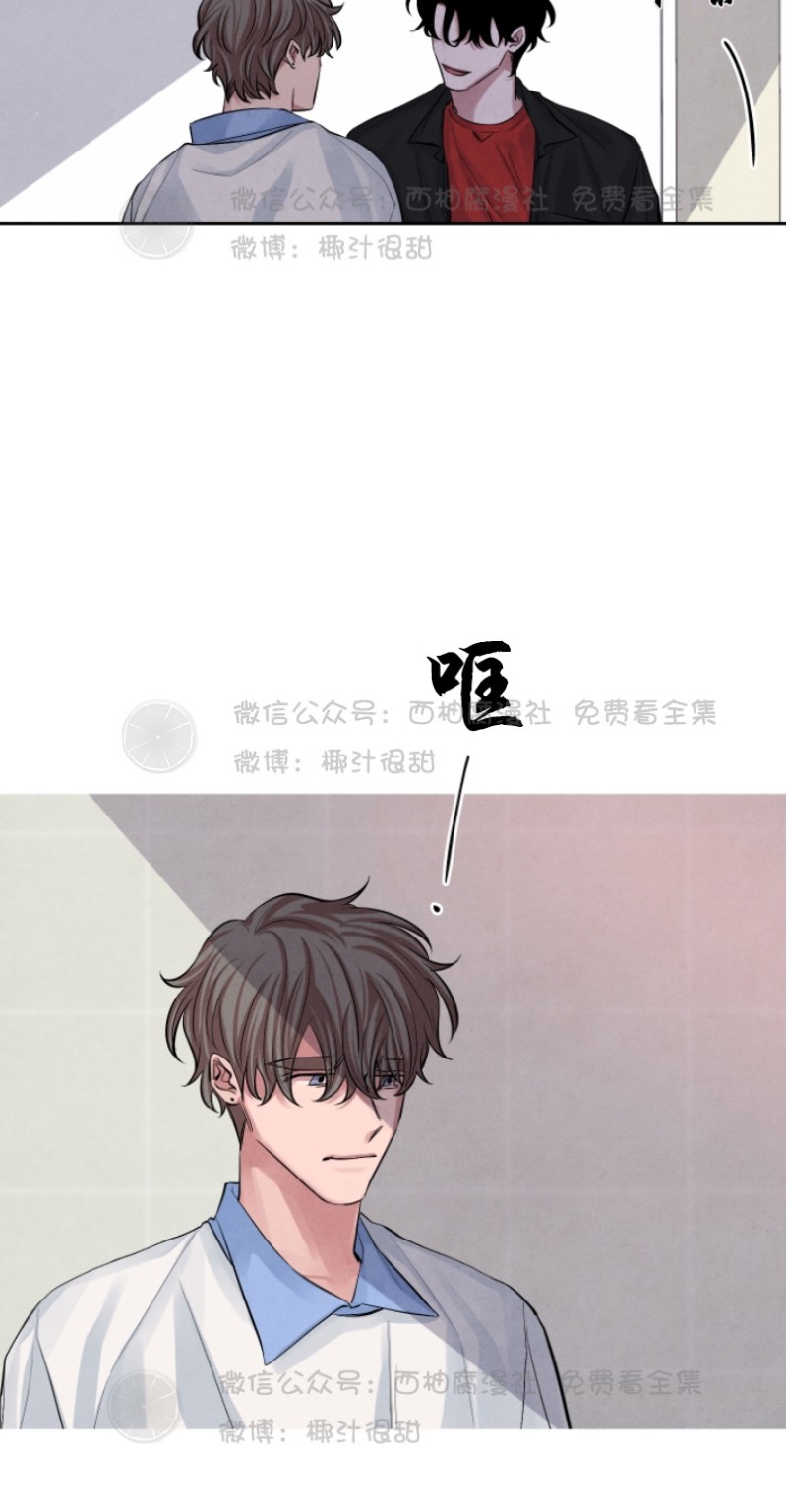 《珊瑚舒展的秘密》漫画最新章节第11话免费下拉式在线观看章节第【10】张图片