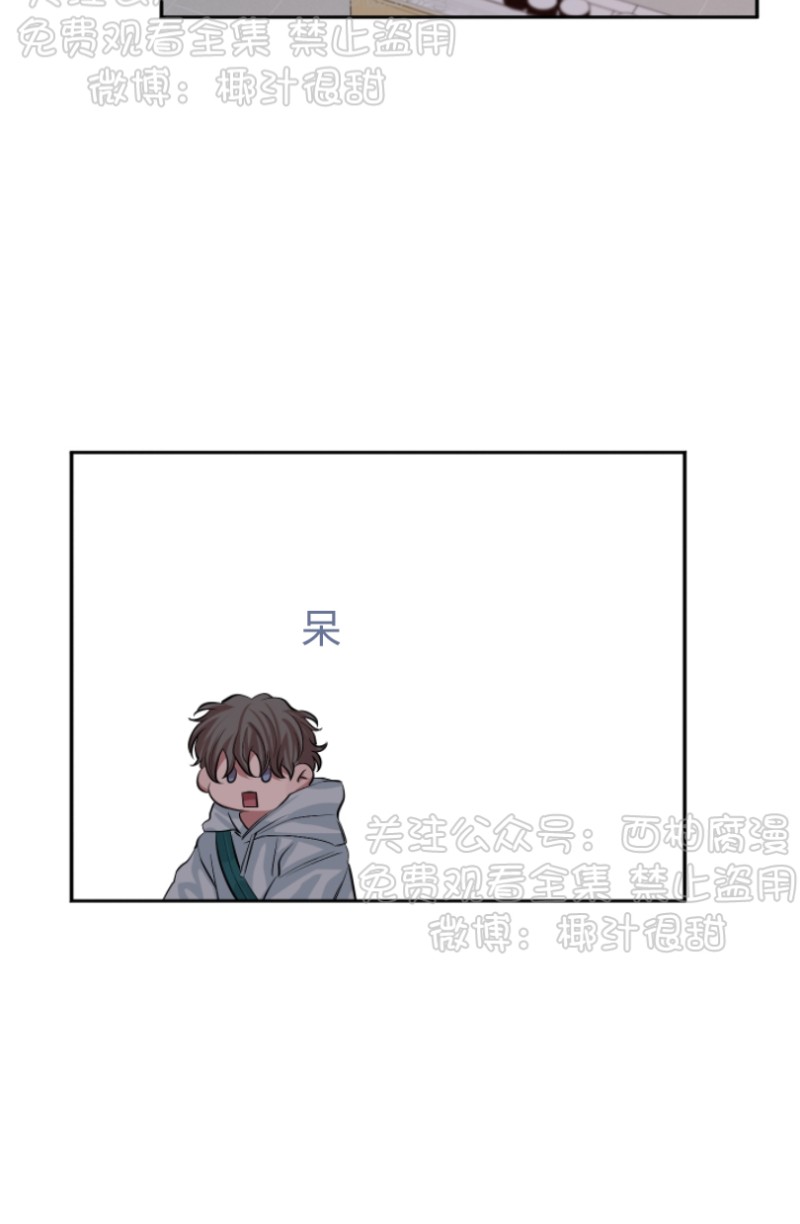 《珊瑚舒展的秘密》漫画最新章节第15话免费下拉式在线观看章节第【17】张图片