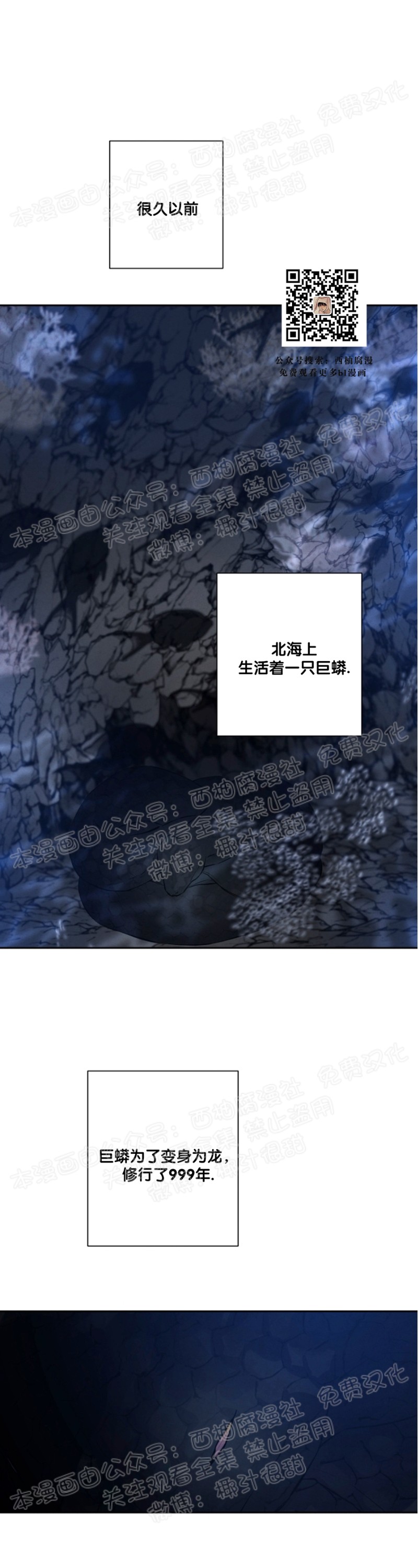 《珊瑚舒展的秘密》漫画最新章节第20话免费下拉式在线观看章节第【1】张图片