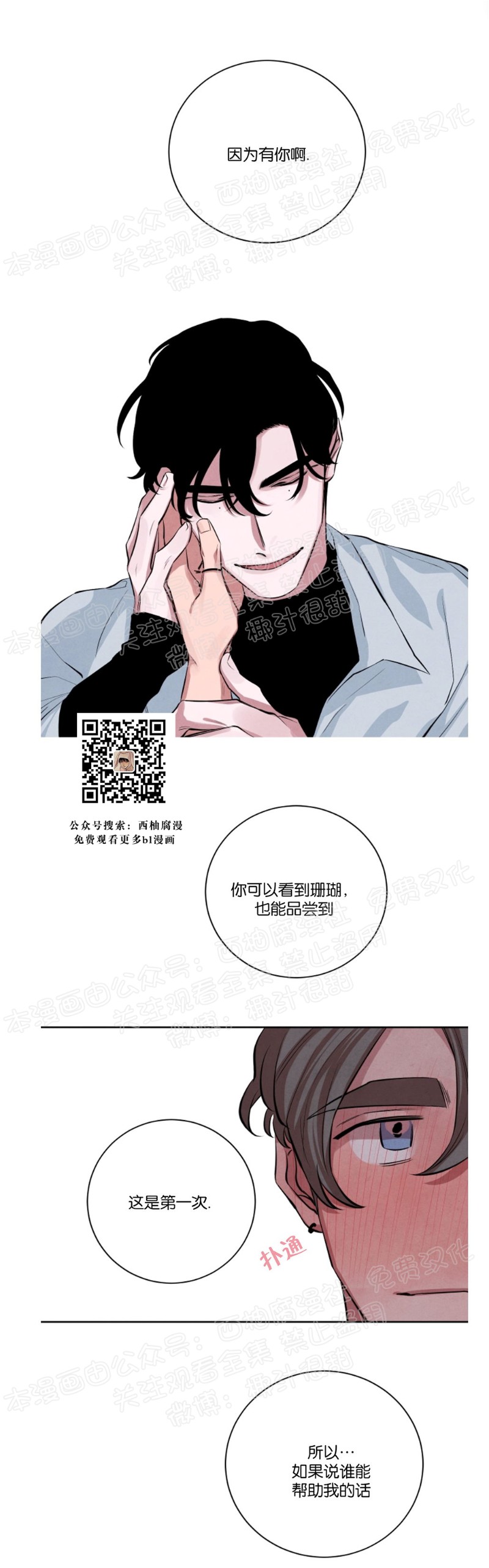 《珊瑚舒展的秘密》漫画最新章节第20话免费下拉式在线观看章节第【14】张图片