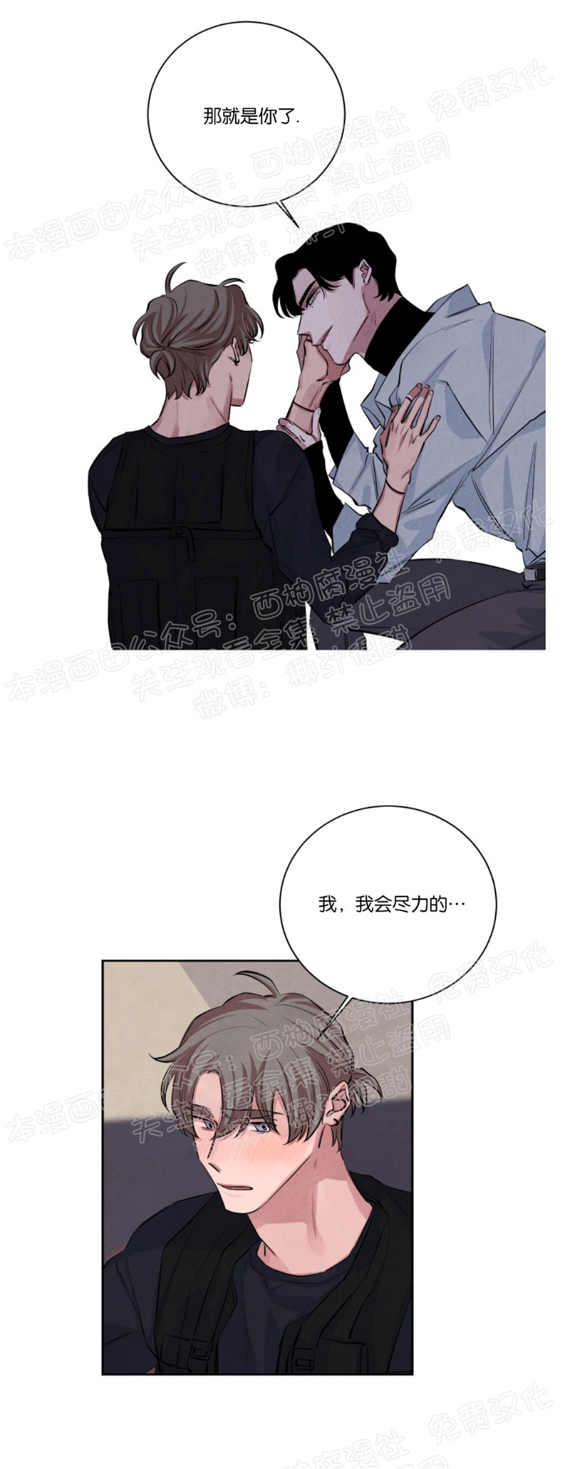 《珊瑚舒展的秘密》漫画最新章节第20话免费下拉式在线观看章节第【15】张图片