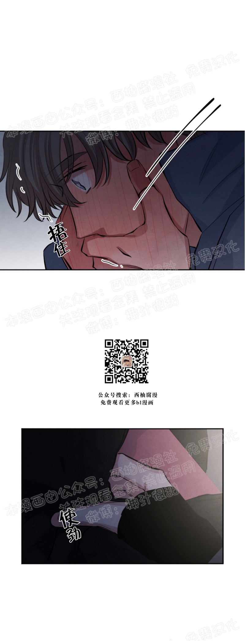 《珊瑚舒展的秘密》漫画最新章节第20话免费下拉式在线观看章节第【26】张图片