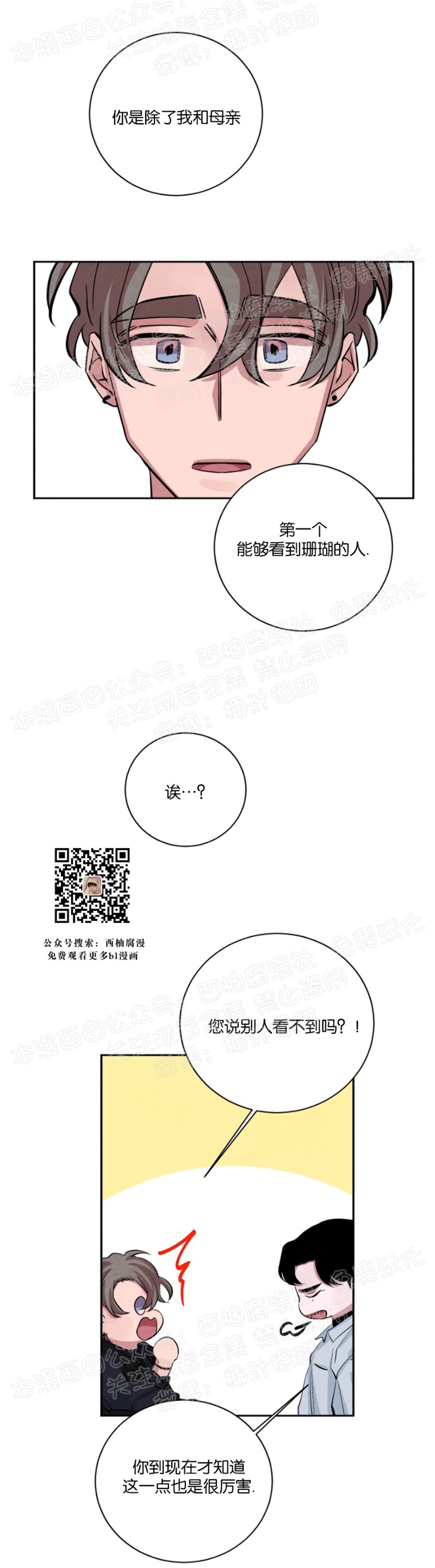 《珊瑚舒展的秘密》漫画最新章节第20话免费下拉式在线观看章节第【10】张图片