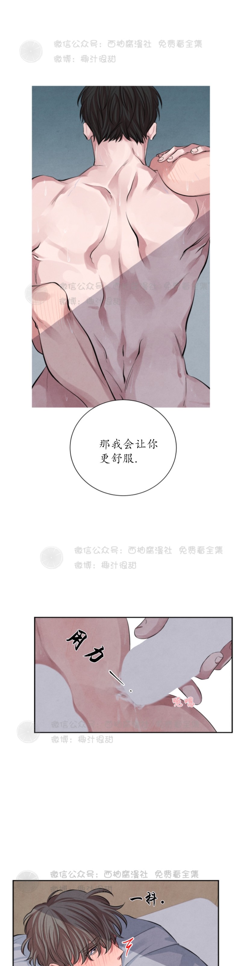 《珊瑚舒展的秘密》漫画最新章节第12话免费下拉式在线观看章节第【2】张图片