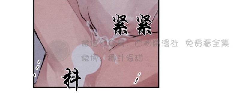 《珊瑚舒展的秘密》漫画最新章节第12话免费下拉式在线观看章节第【5】张图片