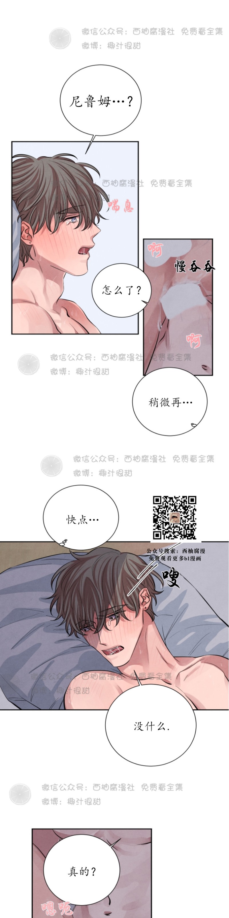 《珊瑚舒展的秘密》漫画最新章节第12话免费下拉式在线观看章节第【4】张图片