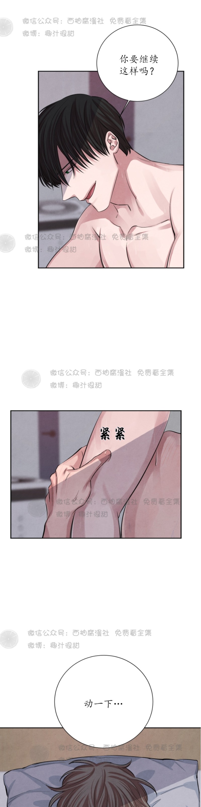 《珊瑚舒展的秘密》漫画最新章节第12话免费下拉式在线观看章节第【6】张图片