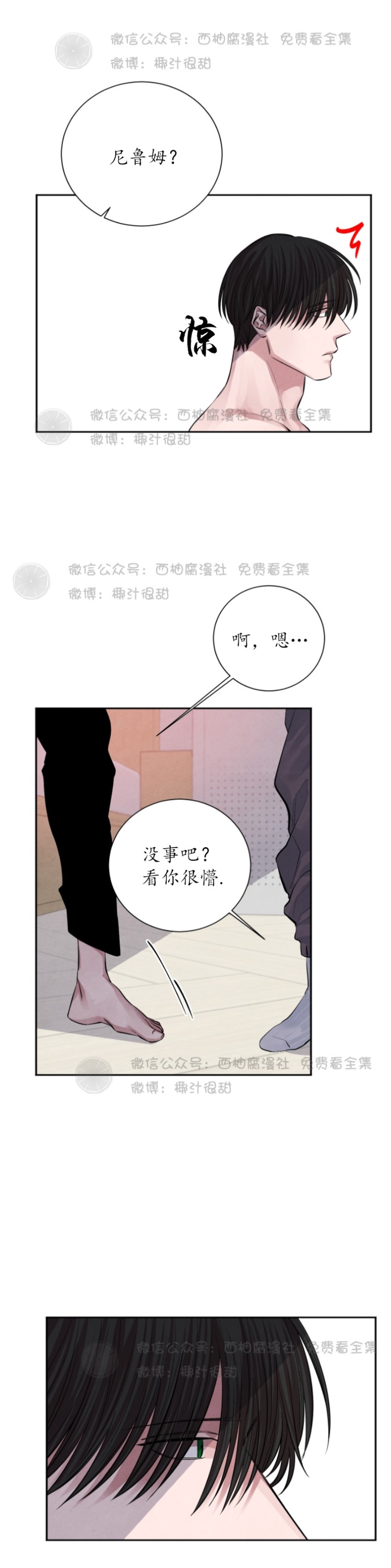 《珊瑚舒展的秘密》漫画最新章节第12话免费下拉式在线观看章节第【15】张图片