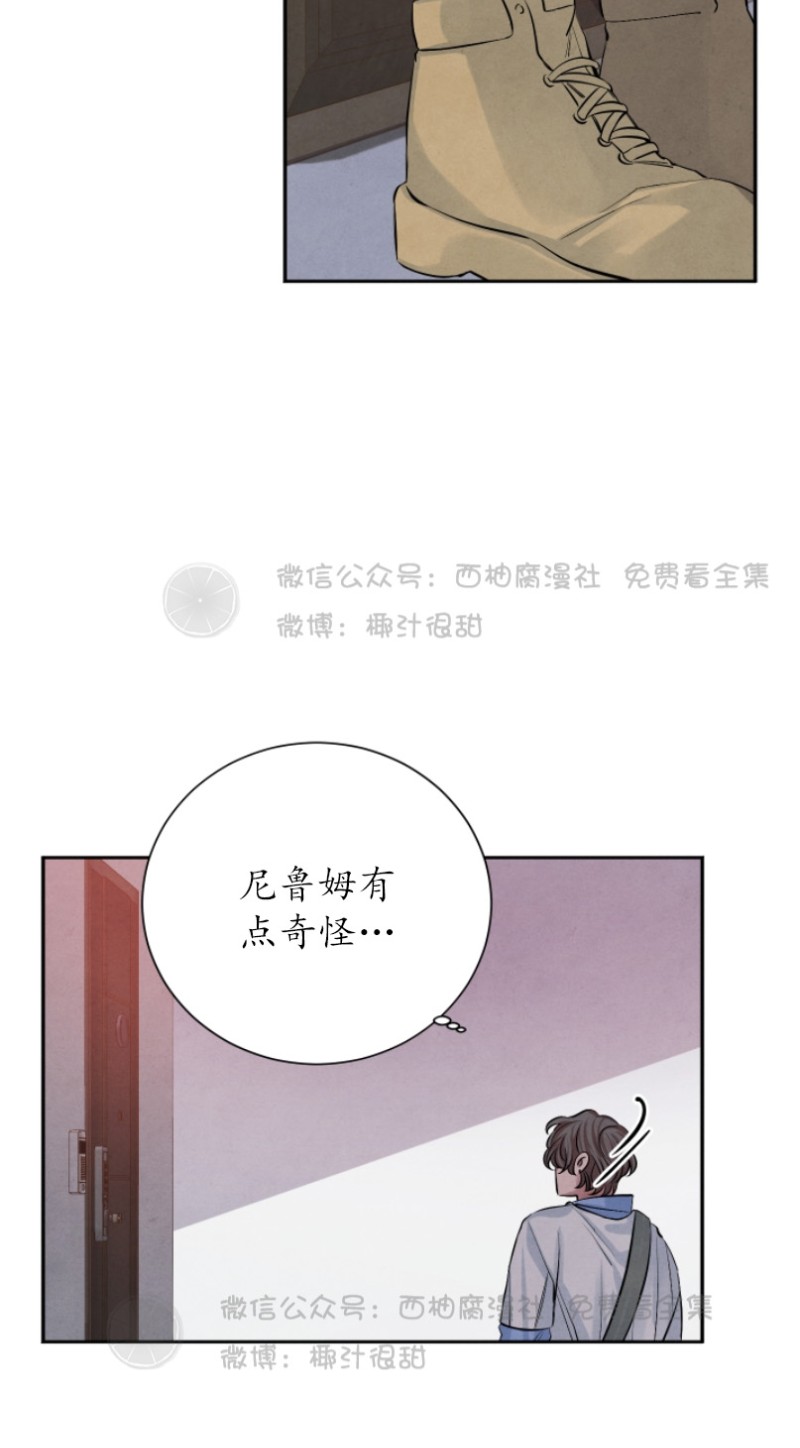 《珊瑚舒展的秘密》漫画最新章节第12话免费下拉式在线观看章节第【18】张图片