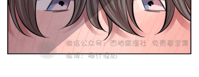 《珊瑚舒展的秘密》漫画最新章节第12话免费下拉式在线观看章节第【21】张图片