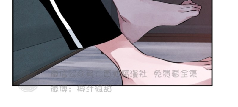 《珊瑚舒展的秘密》漫画最新章节第12话免费下拉式在线观看章节第【29】张图片