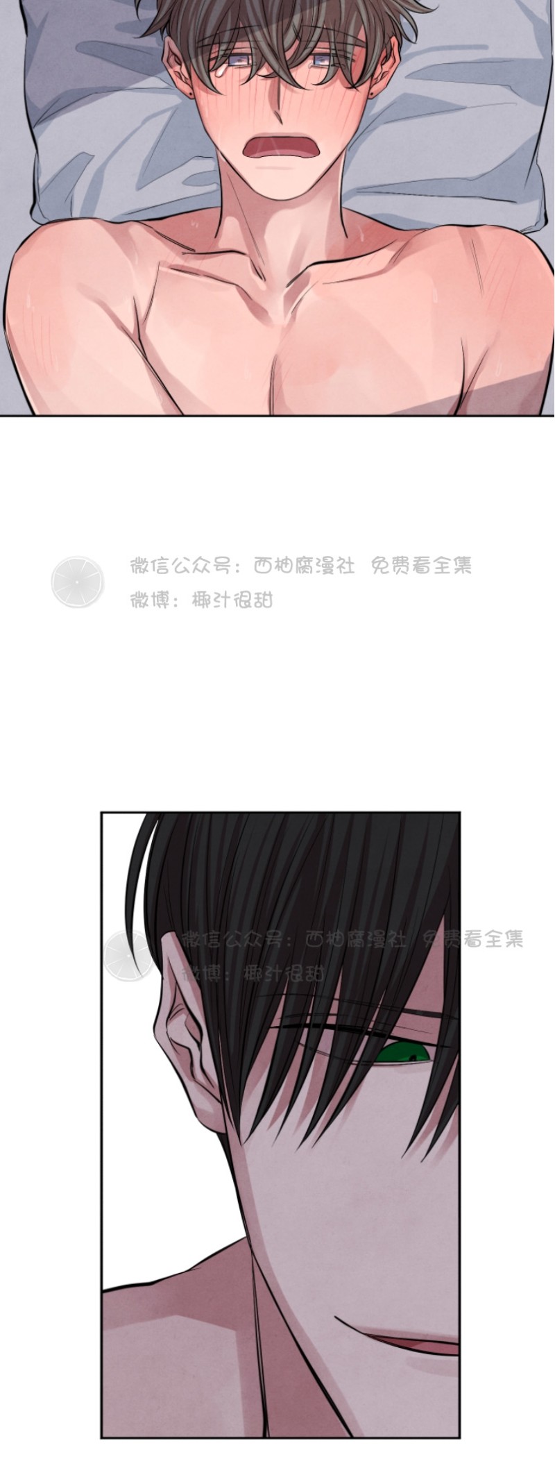 《珊瑚舒展的秘密》漫画最新章节第12话免费下拉式在线观看章节第【7】张图片