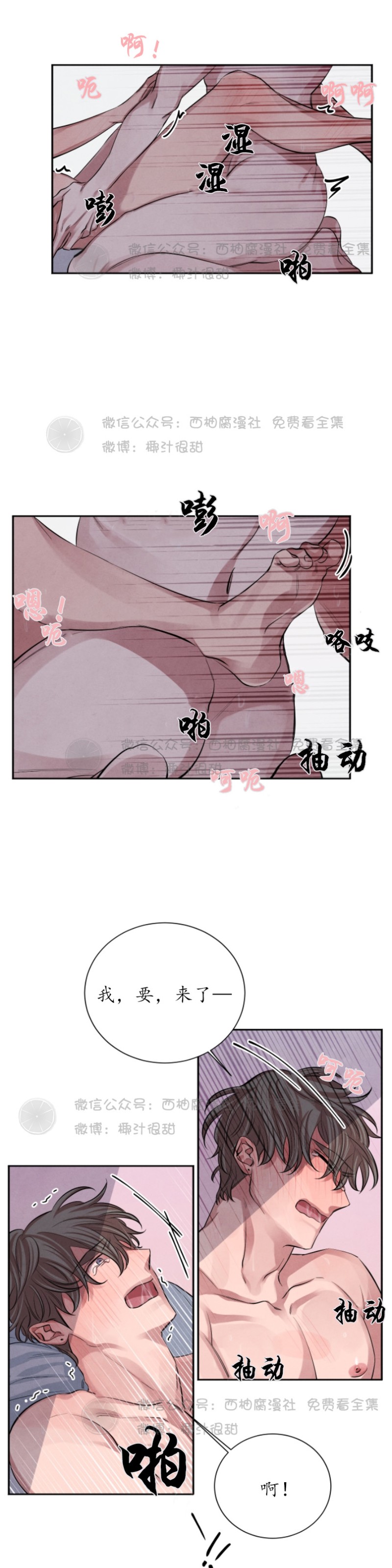 《珊瑚舒展的秘密》漫画最新章节第12话免费下拉式在线观看章节第【8】张图片