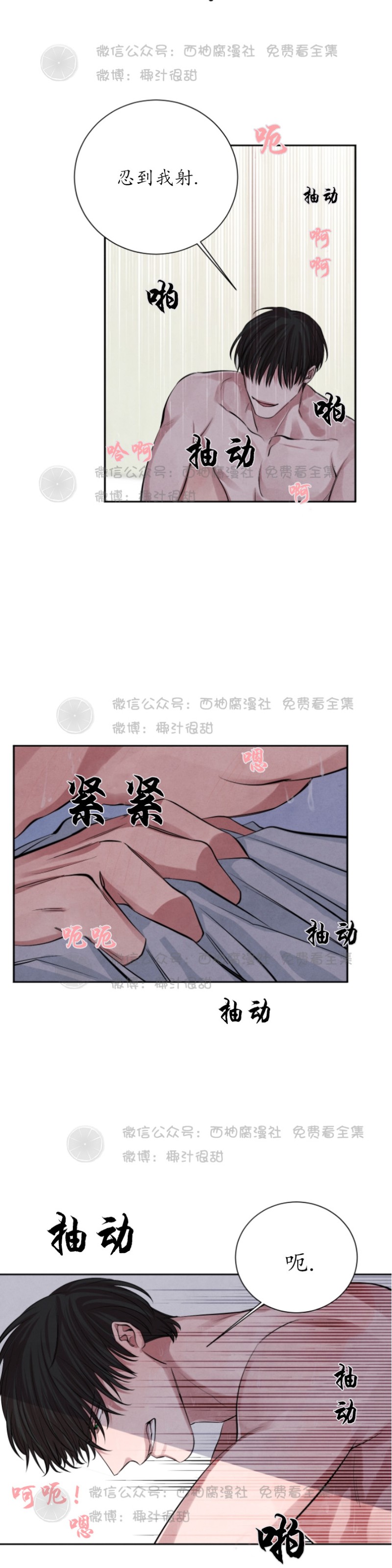 《珊瑚舒展的秘密》漫画最新章节第12话免费下拉式在线观看章节第【9】张图片