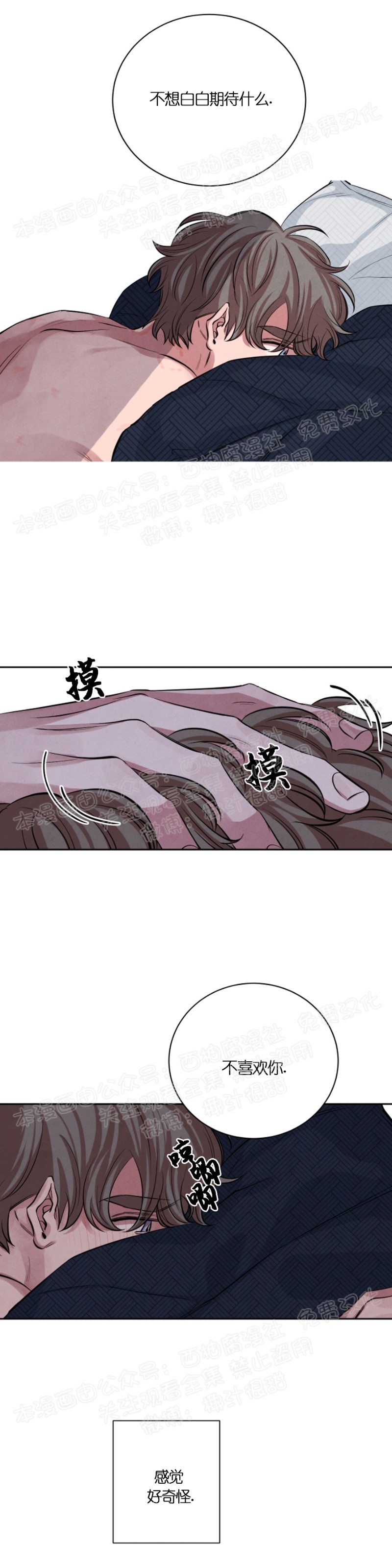 《珊瑚舒展的秘密》漫画最新章节第19话免费下拉式在线观看章节第【11】张图片