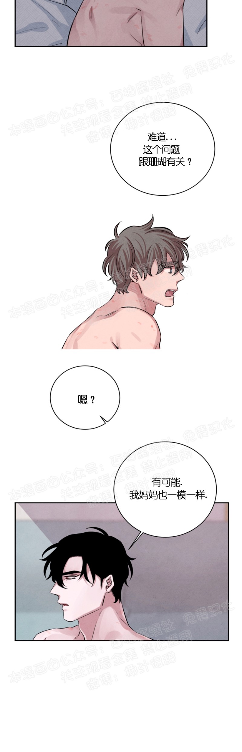 《珊瑚舒展的秘密》漫画最新章节第19话免费下拉式在线观看章节第【24】张图片