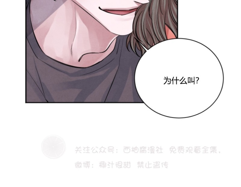 《珊瑚舒展的秘密》漫画最新章节第14话免费下拉式在线观看章节第【3】张图片