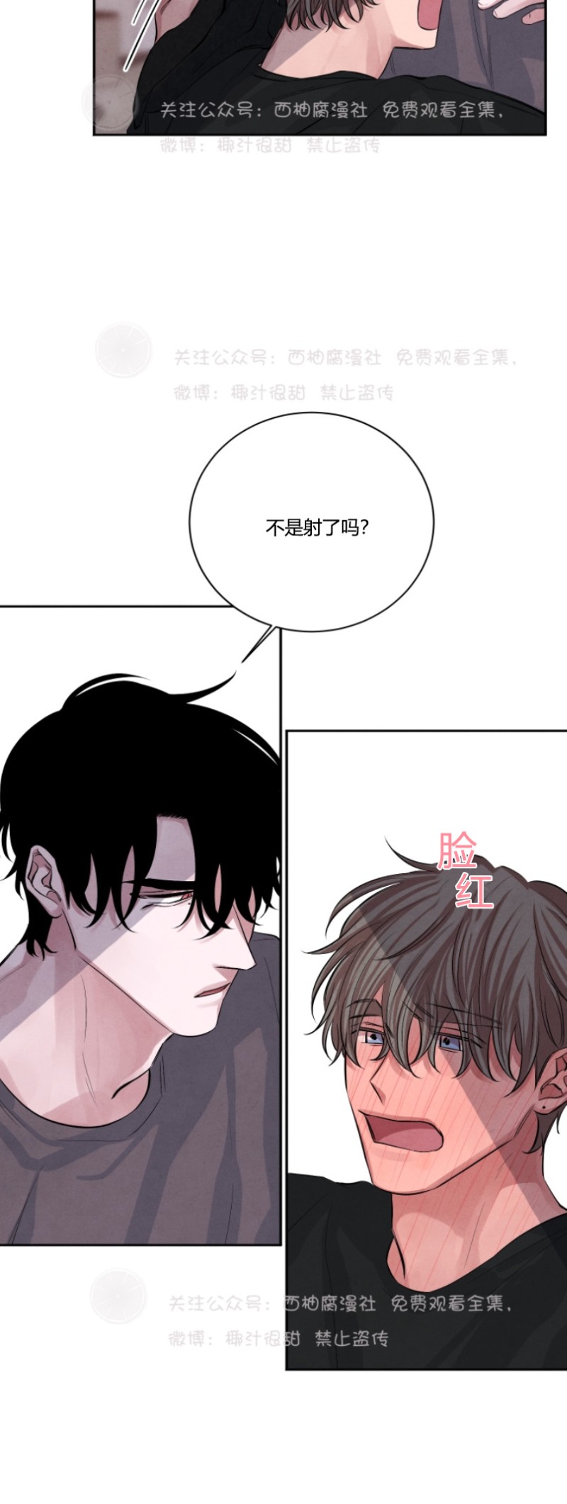 《珊瑚舒展的秘密》漫画最新章节第14话免费下拉式在线观看章节第【12】张图片