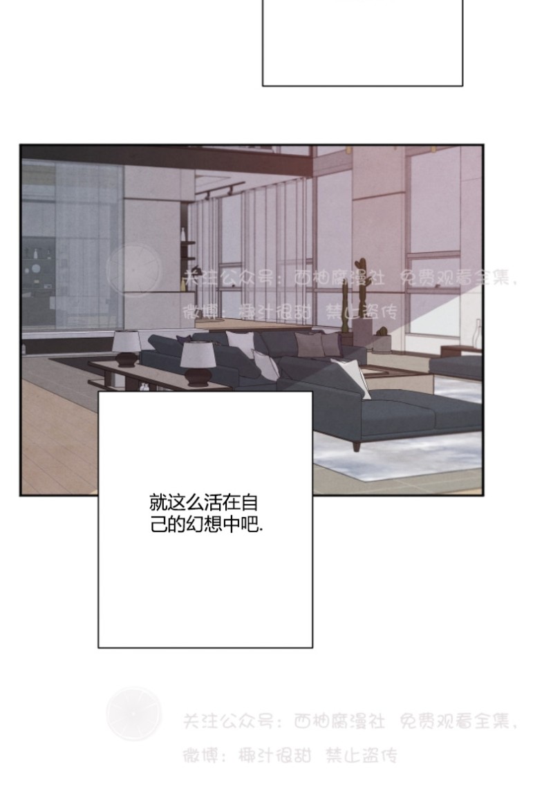 《珊瑚舒展的秘密》漫画最新章节第14话免费下拉式在线观看章节第【28】张图片