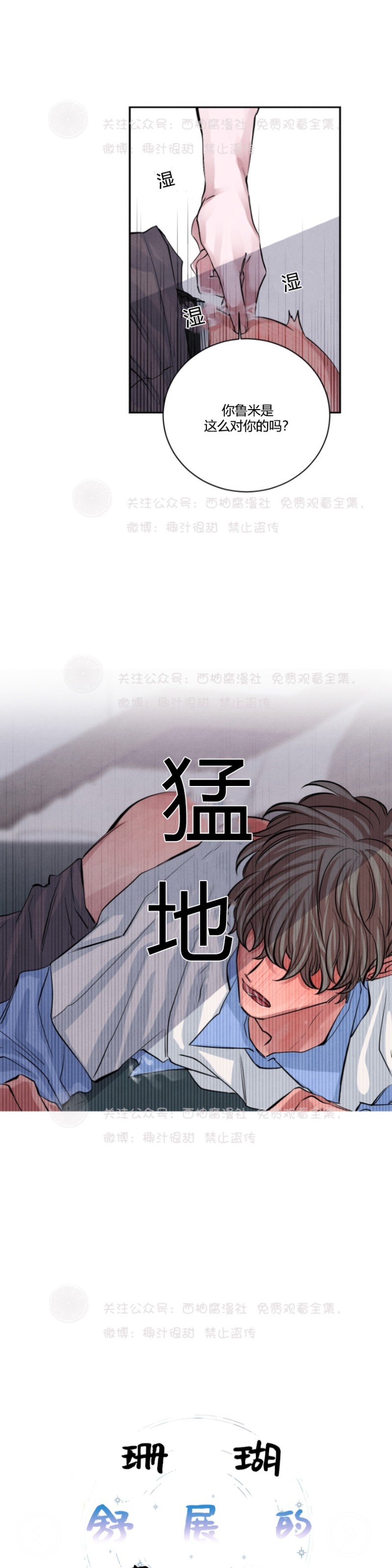 《珊瑚舒展的秘密》漫画最新章节第14话免费下拉式在线观看章节第【6】张图片