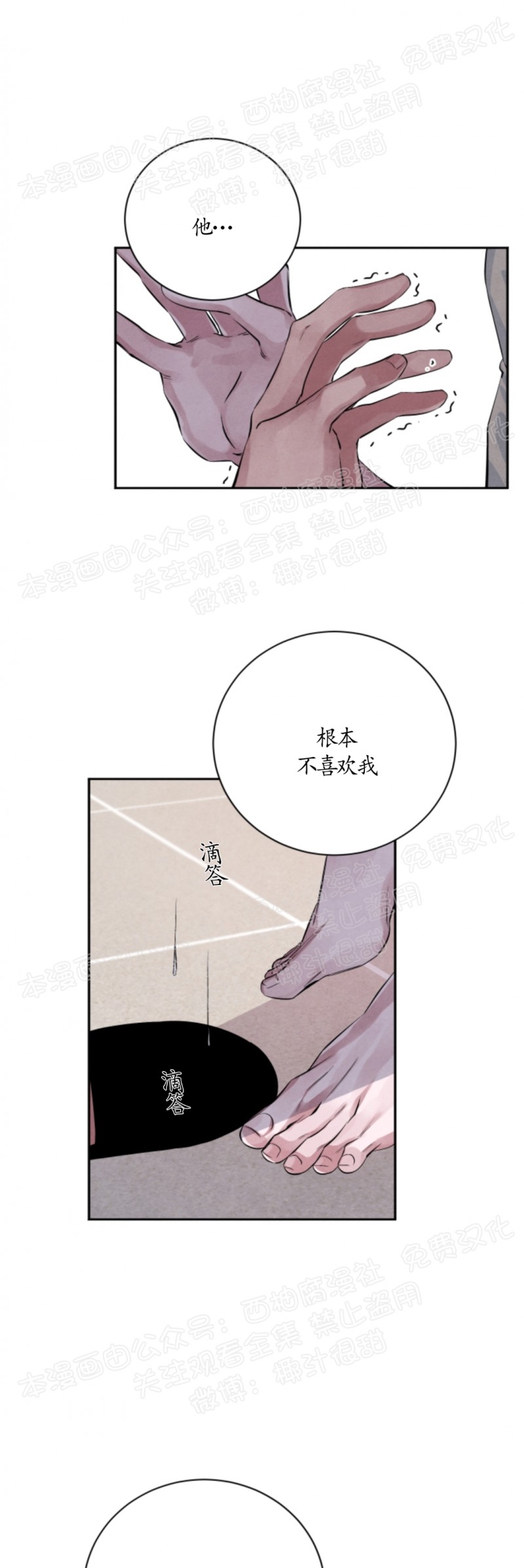 《珊瑚舒展的秘密》漫画最新章节第17话免费下拉式在线观看章节第【21】张图片